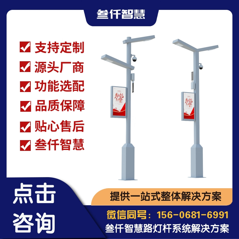 2024年智慧路灯PPP模式数据报告：关键趋势与洞察